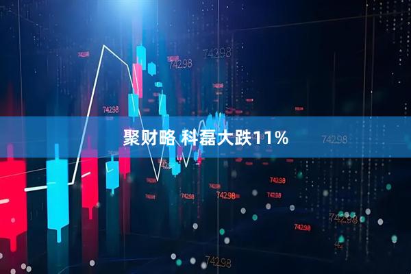 聚财略 科磊大跌11%