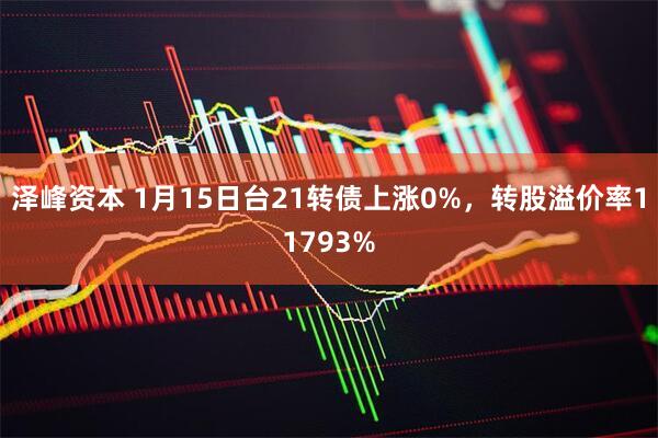 泽峰资本 1月15日台21转债上涨0%，转股溢价率11793%