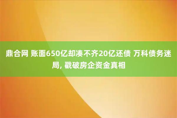 鼎合网 账面650亿却凑不齐20亿还债 万科债务迷局, 戳破房企资金真相