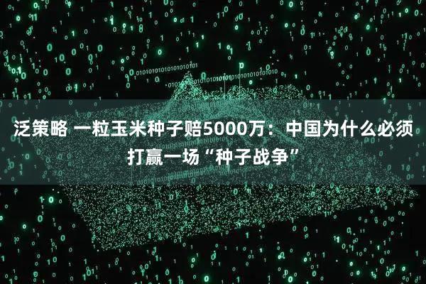 泛策略 一粒玉米种子赔5000万：中国为什么必须打赢一场“种子战争”